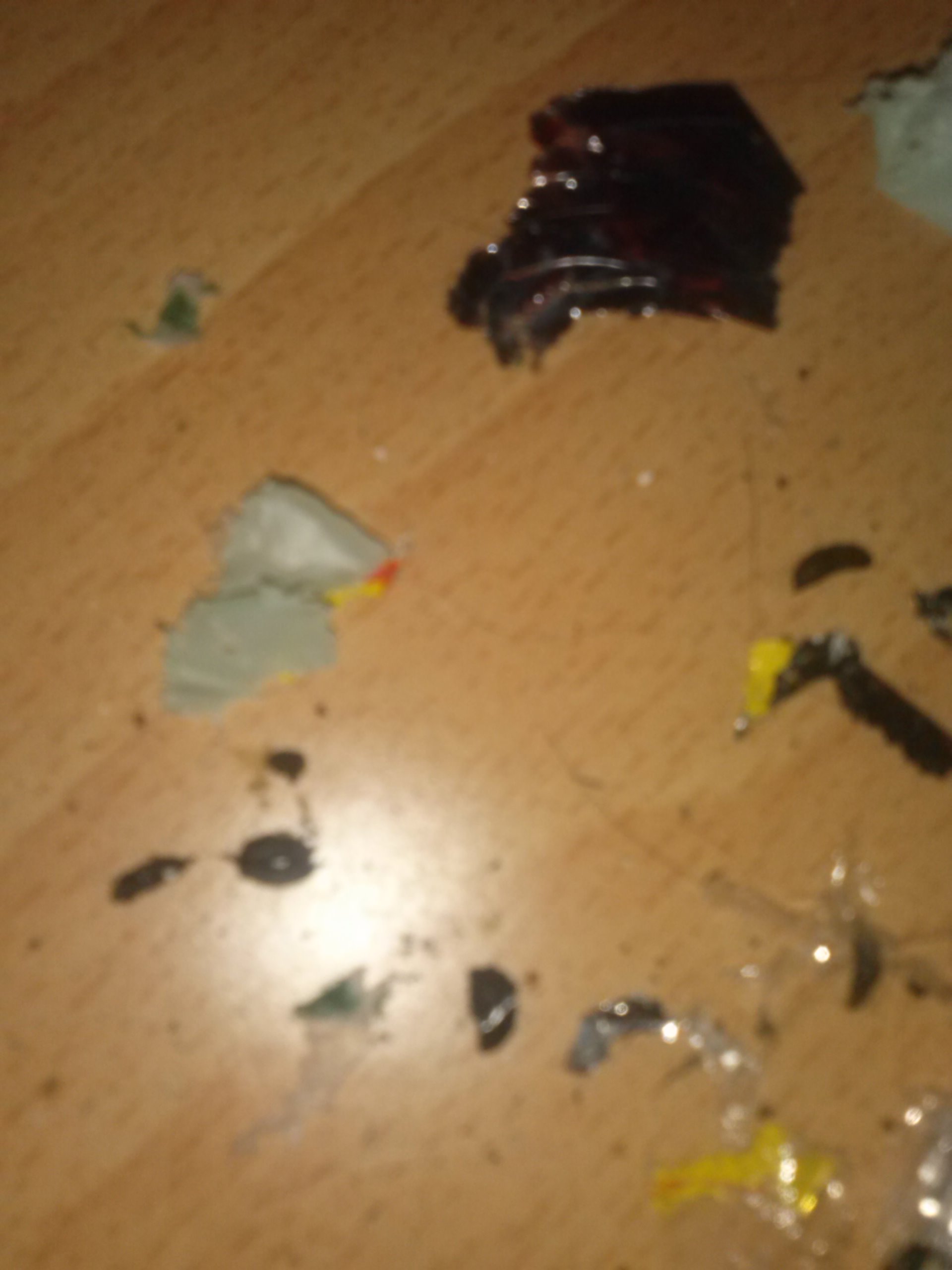 STRANO ANIMALE IN CASA